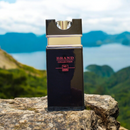 066 - Brand Collection Sil-Wind - Masc. - 25ml